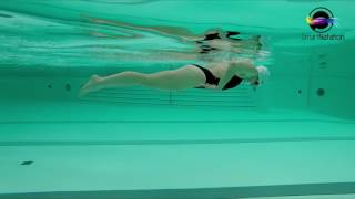 Natation Exercice Fusée Propulsion Bras Et Gainage - Smartnatation.com