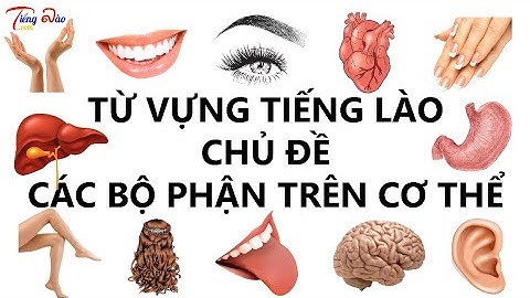 [Học từ vựng tiếng Lào] Bài 9 - Từ vựng tiếng Lào chủ đề các bộ phận trên cơ thể
