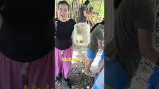 pintakasi para sa Fiesta mukbang #short #fiesta #mukbang.