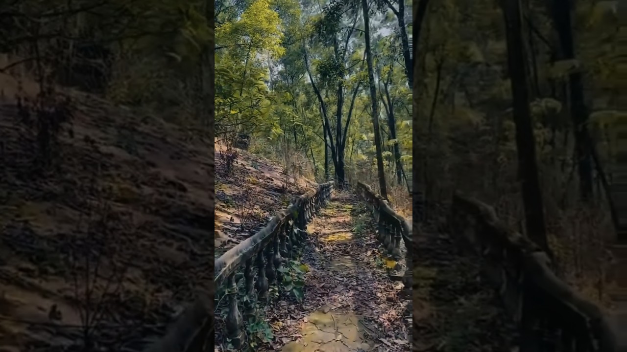 HiltopPark, Anwara,Chattagram.⛰️ 