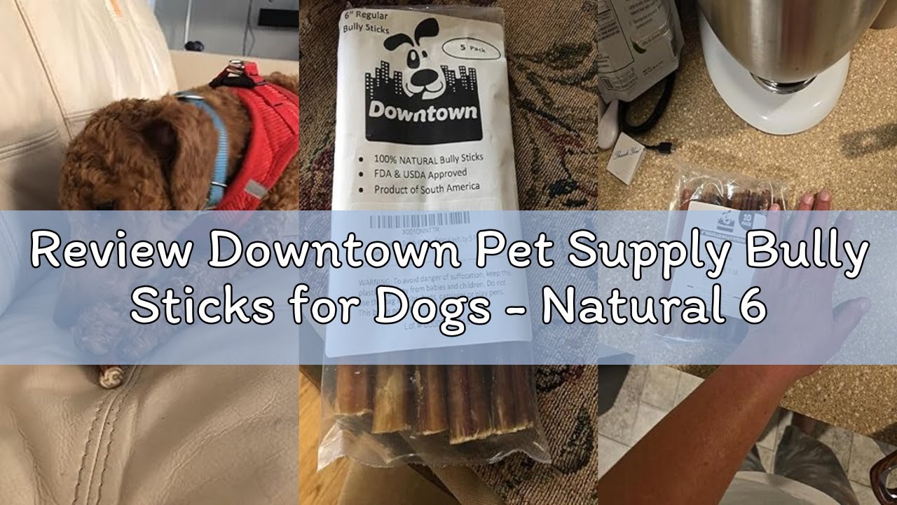 Review Downtown Pet Supply Bully Sticks for Dogs - Natural 6 Inch Beef Chews, Odor-Free & Rawhide-Fr