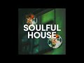 New Soulful House Mix - Januar 2021 - Vol.36 (Best of 2020#3)