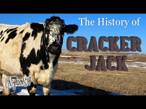 Video: ¿Quién es cracker jack?