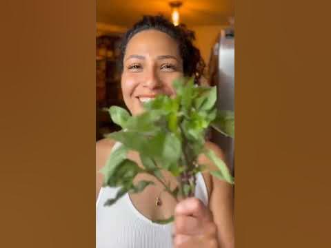 Chef Dafne Mejia With J Lees Knives - YouTube