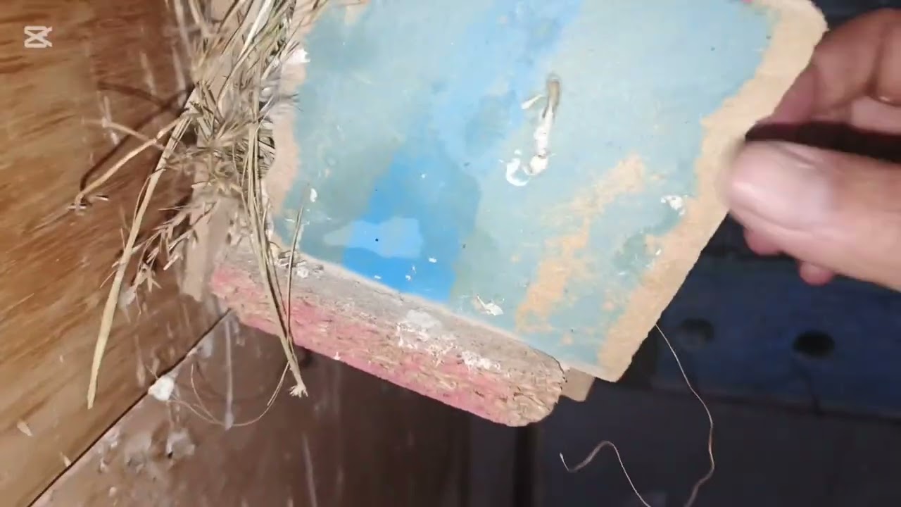 انتاج الفقاسة بعد التعديل خير، من الله 