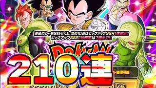 ベジータナッパのドッカンフェス210連ガチャしてみた【ドッカンバトル】