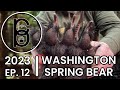 Quinault Washington Spring Bear Hunt 2023