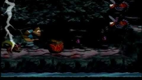 Donkey Kong Country 3: Dixie Kong