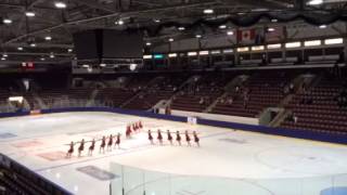 Nova adult 2 synchro