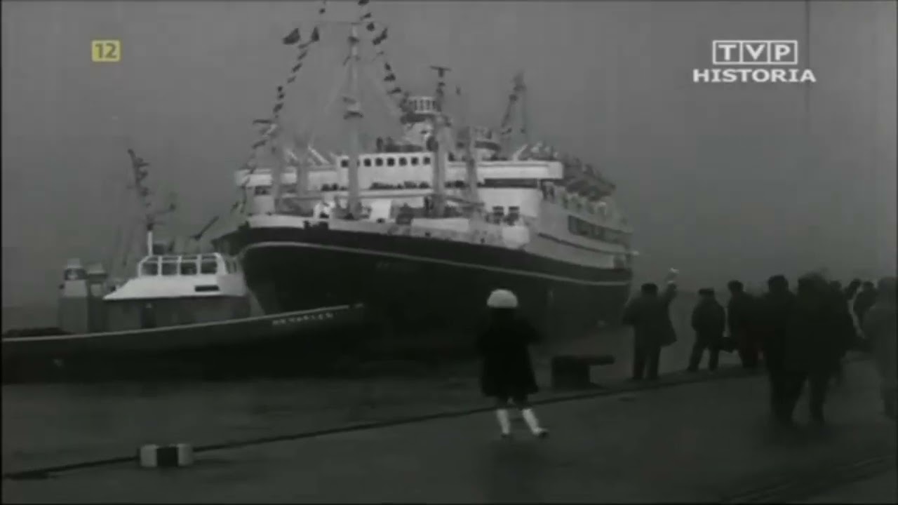 real MS batory horn!!