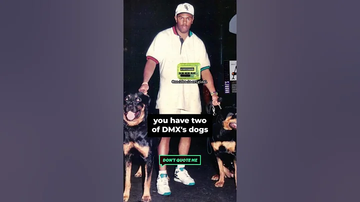 DMX’S SPIRIT WAS INSIDE HIS DOGS!