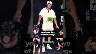 Dmxs Spirit Was Inside His Dogs