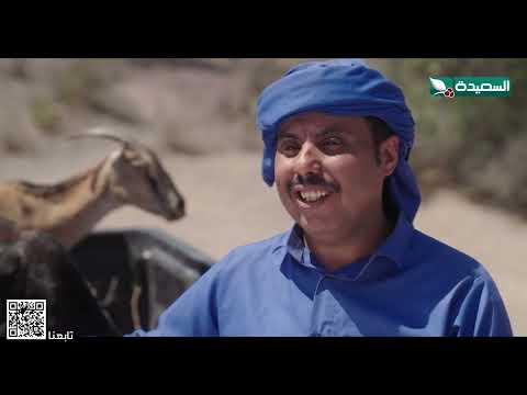هروب مقناص أثناء البحث عن الخائن #دروب_المرجلة