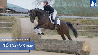 Dark Rose by Donatus / Likoto xx | HORSE24