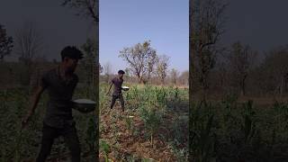 hard work #construction #love #nature #shortsviral #trending #farming #atitude #viral #shorts