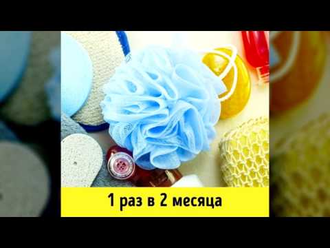 Экзотические продукты и блюда, которые могли бы вас убить