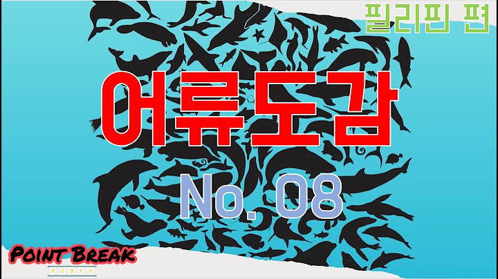 🇵🇭 🤿 🐠 [어류도감]   필리핀편 No. 08 - 필리핀 보홀 앞바다에는 어떤 물고기가 있을까요?