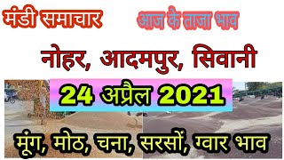 24 April 2021 Nohar, Adampur, Siwani Ellenabad Ganganagar Hanumangarh Rajgarh Sirsa Nokha Grain M... screenshot 5