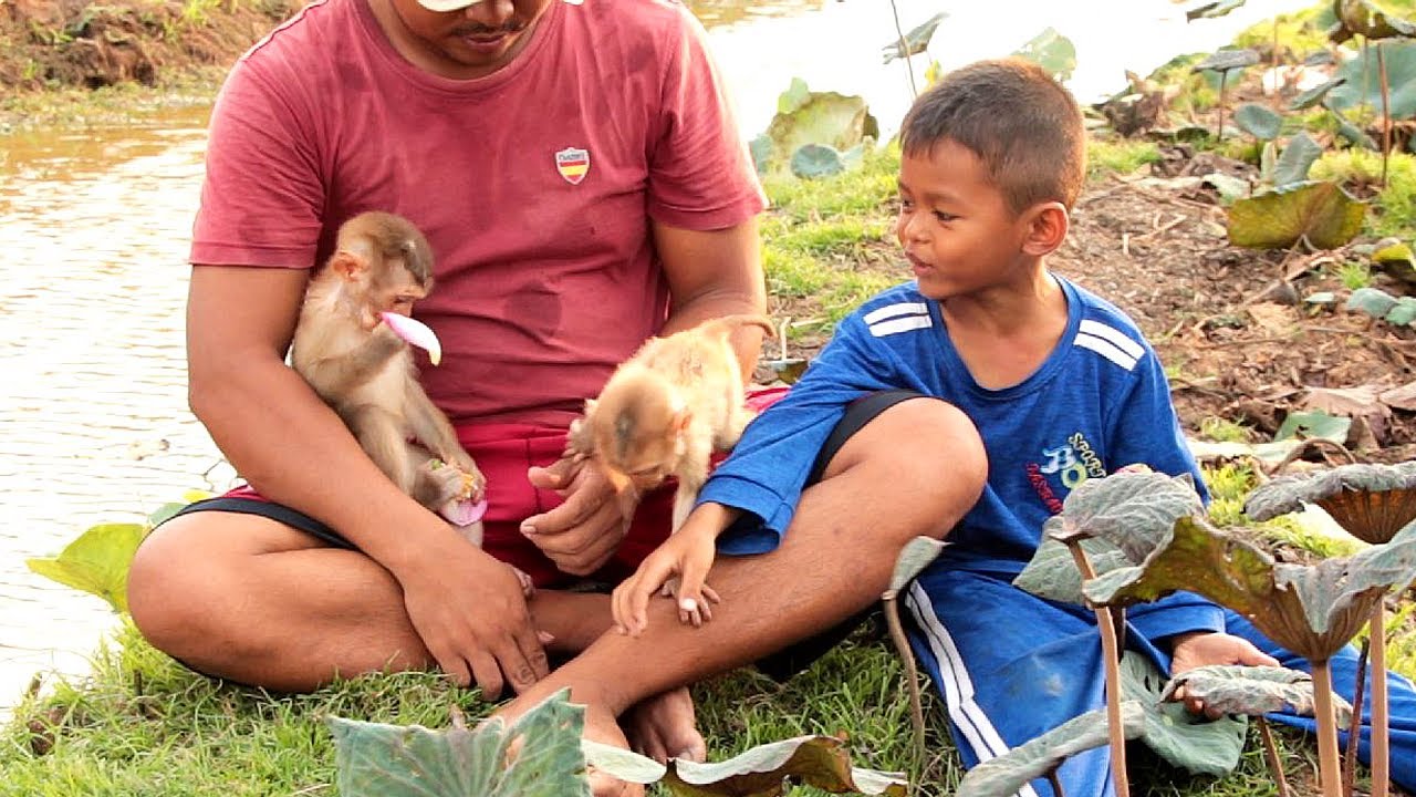 Baby Lyly Boki and Dad Play Fun Games Outdoor Together With Beloved ...