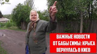 Срочно! Новости От Бабы Симы/Крыса Вернулась В Киев