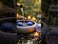 Relaxing bamboo sounds with flowing water for calm #bamboo #relaxing #bamboosounds #relaxingmusic