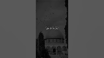 حالات واتس آب القرآن الكريم 😍 أرح سمعك بذكر الله ⁦❤️⁩ شوف صندوق الوصف 👇(5)