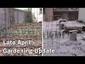 Late April Gardening Update - It&#39;s Almost Time To Plant Tomatoes!