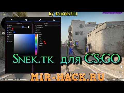Чит Snek.tk для CS:GO бесплатно ( RageBot, Esp, Chams, Bhop ) + кфг для ...