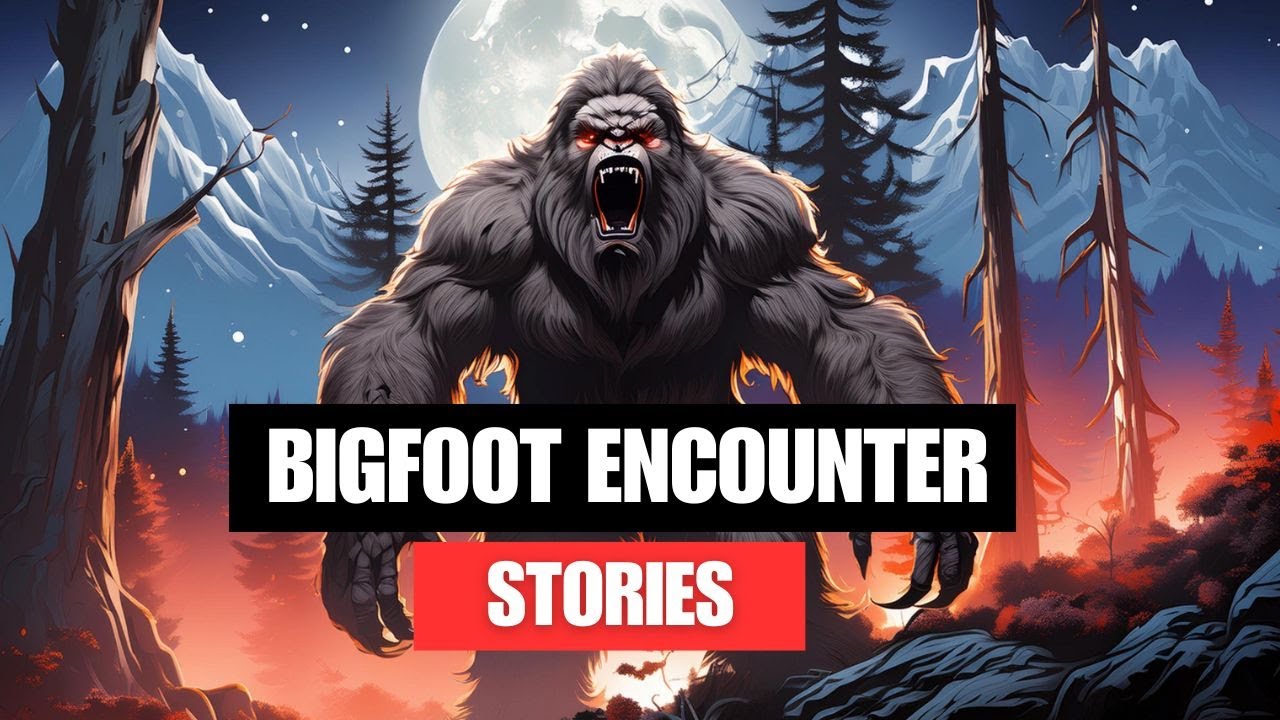 Bigfoot Encounter Stories: Class A Encounters From The US and Canada