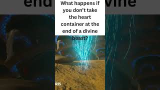 What happens if you don’t take the heart container #botwshorts #zelda #whatif