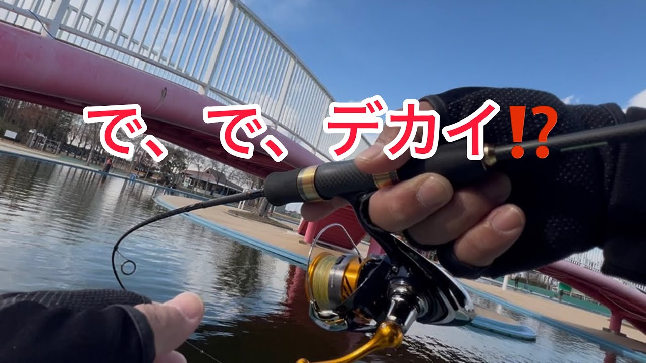 脳汁ドバドバ‼︎最近女性にも人気のトラウトフィッシング。