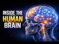 HOW YOUR BRAIN WORKS