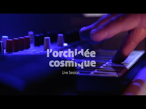 l'Orchidée Cosmique - La Corde Sensible (ambient live session #1)