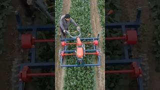Tanaka Spinach Digger KLH1400 #shorts #agrimachinery