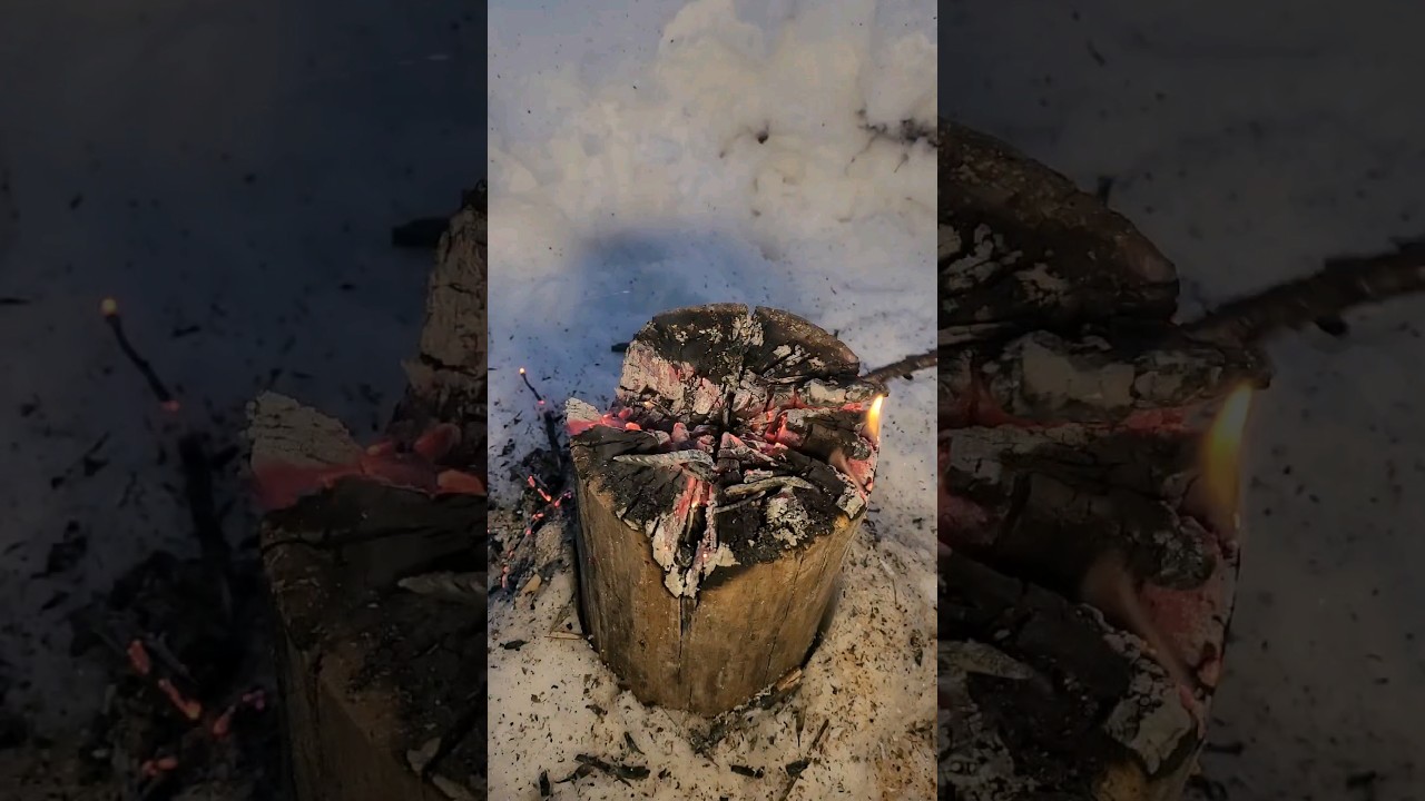 Fire Log Steak Dinner - Campfire Cooking - Winter Camping