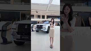 20260610 仰望汽车 乌鲁木齐仰望中心