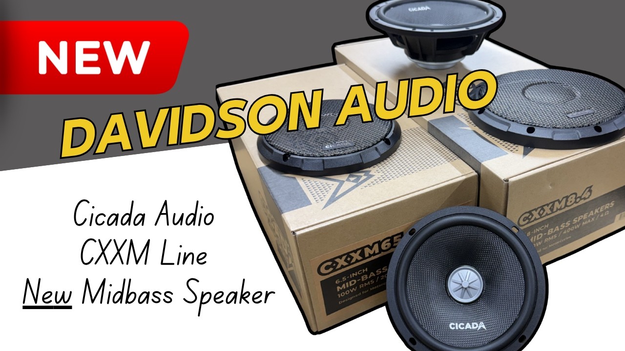 NEW Cicada Audio CXXM Midbass Speakers Tested! | 6.5
