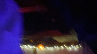 Live at the Island WITH BAND