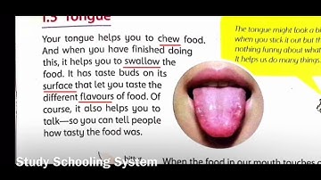 Online Video Lecture of Science Factor 3 Unit#1 (1.5 Tongue) by Ms. Laraib