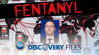 Disrupting Fentanyl Supply Chains #news #science #fentanyl #fentanylcrisis