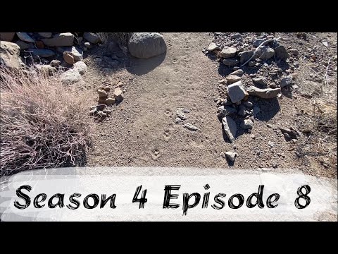 S4 E8: How to Identify Bobcat Tracks - Desert Wolverines - Another