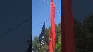 Roz e Ashora Kro Gham aur Parho Noha #shia #noha #moharram #nadeemsarwar #shorts #shortvideo #new