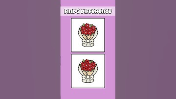 Can You Find 3 Differences?