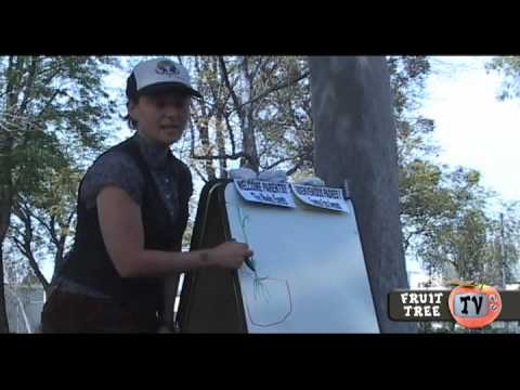 Jefferson High Community Planting |Fruit Tree TV 2010 | Episode # 5