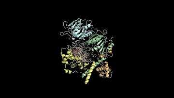 How Adenine in DNA Gets Methylated: Methyltransferase in Action