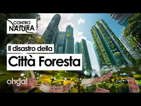 From green dream to GHOST TOWN, how geopolitics led Forest City to bankruptcy