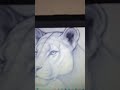 LION #music #electronic