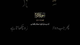 Suraj Ar Rum | Al Quran | #alquran #quranicverse #islamicvideos #explore #fypシ゚viral #reelsinstagram