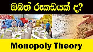 හාල් මෝලේ සිට Google දක්වා 'අදිසි හස්තය' | The Monopoly Theory