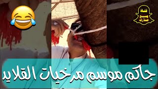 مرخيات القلايد